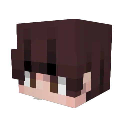 CruzyBoy777 Minecraft avatar head, 3D render