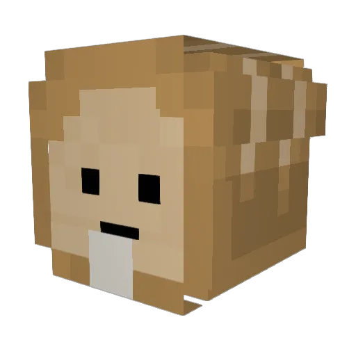 Crxambread Minecraft avatar head, 3D render