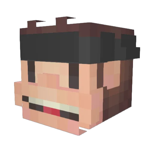Crxptikal Minecraft avatar head, 3D render