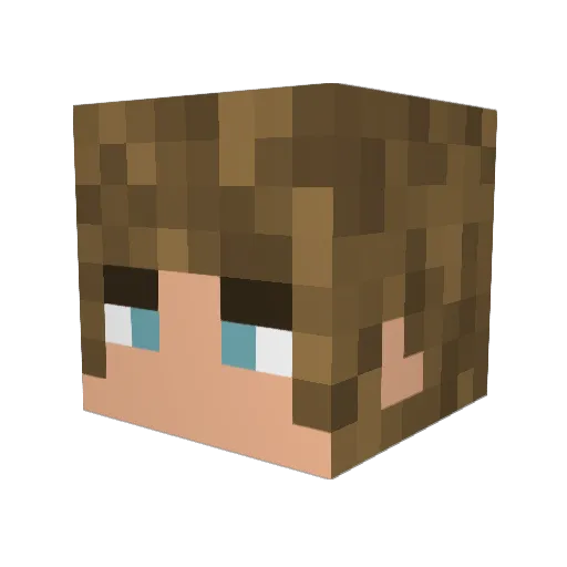 Cry9t Minecraft avatar head, 3D render