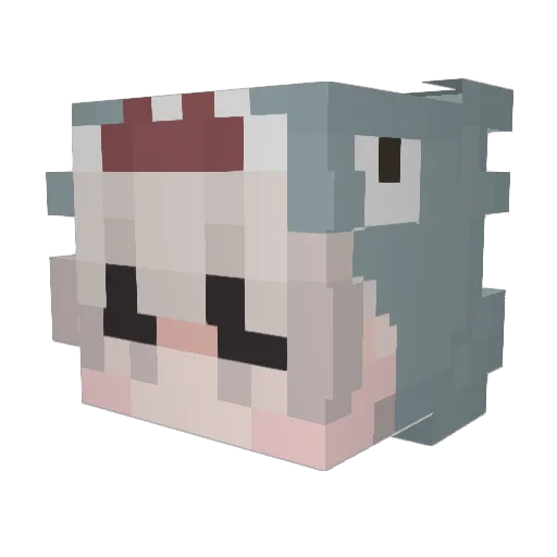 CryToMyRxach Minecraft avatar head, 3D render