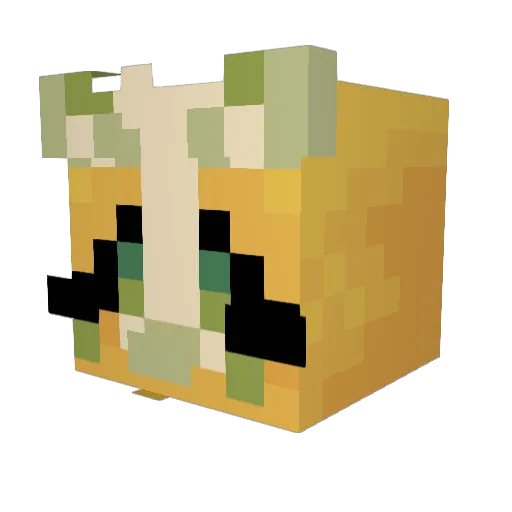 CrybabyBean Minecraft avatar head, 3D render