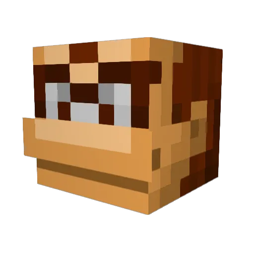CryingPegasus96 Minecraft avatar head, 3D render