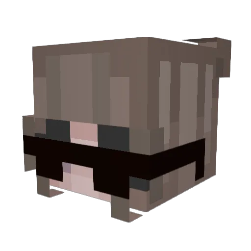 Cryingg_ing Minecraft avatar head, 3D render