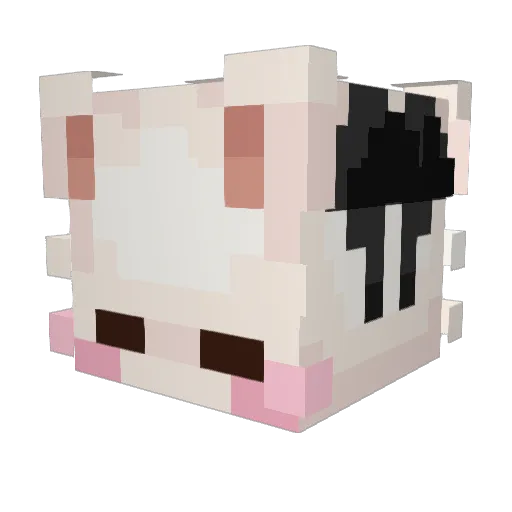 Crynan Minecraft avatar head, 3D render