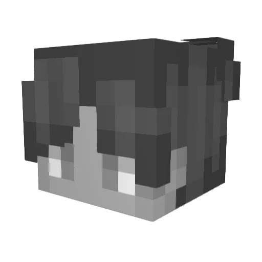 Cryo_Crypt76 Minecraft avatar head, 3D render