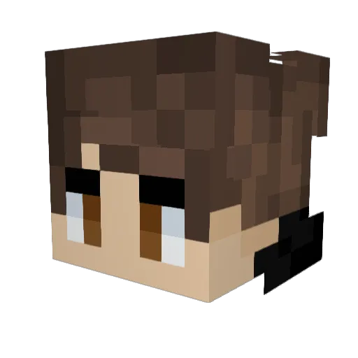 Cryoqenic Minecraft avatar head, 3D render