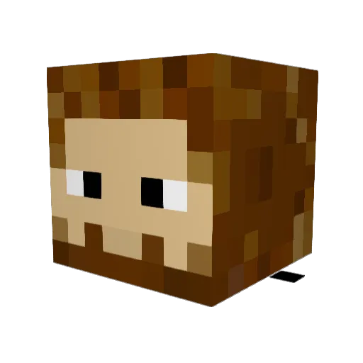 Cryost4sis Minecraft avatar head, 3D render