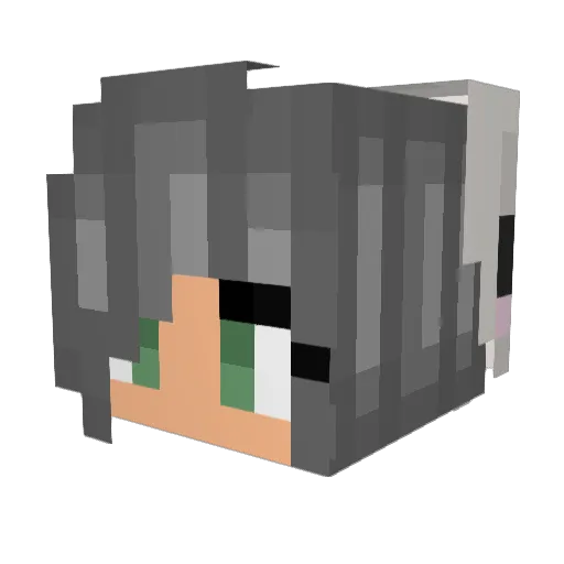 Cryostasis Minecraft avatar head, 3D render