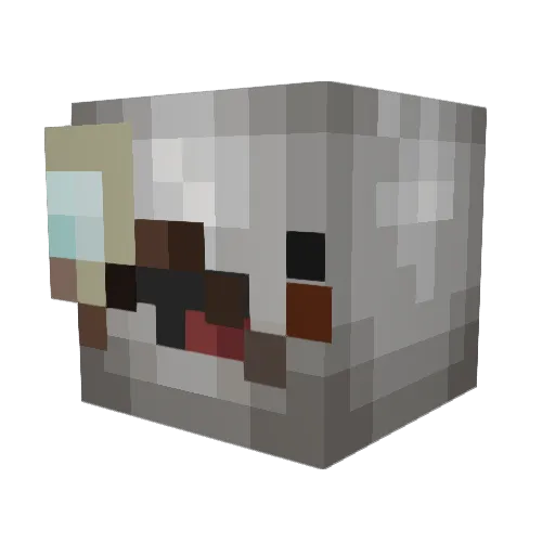 Crypake Minecraft avatar head, 3D render