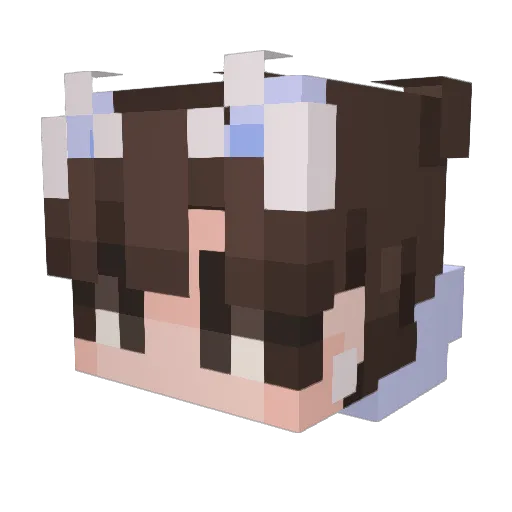 Crypt2ic Minecraft avatar head, 3D render