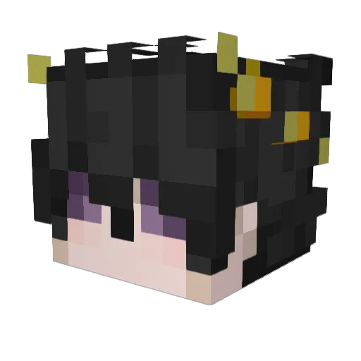 CrypticAlcoholic Minecraft avatar head, 3D render