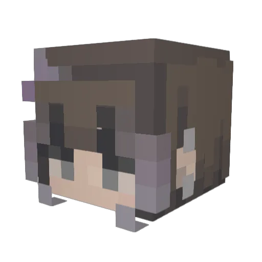 CrypticComet Minecraft avatar head, 3D render