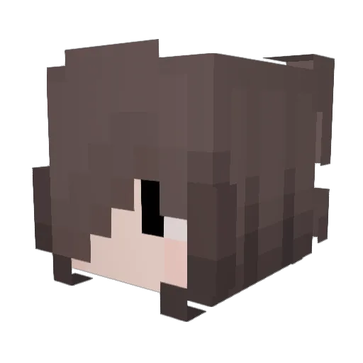 CrypticNyx Minecraft avatar head, 3D render