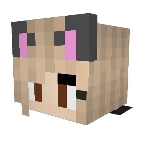 CrypticStar Minecraft avatar head, 3D render