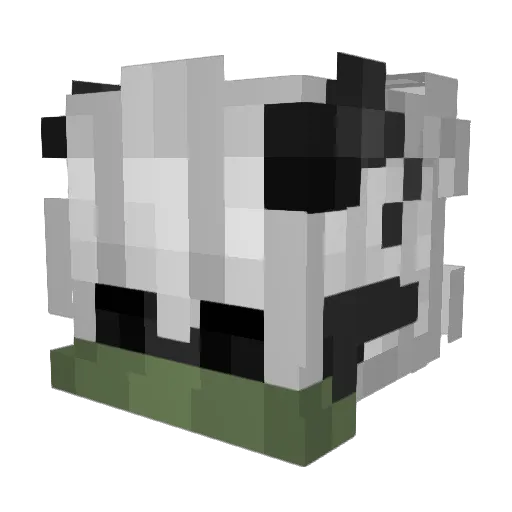 Cryptic_Fable Minecraft avatar head, 3D render