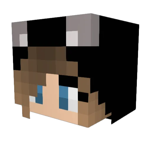 CrypticalLife Minecraft avatar head, 3D render