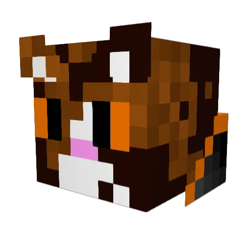 Cryptid1369 Minecraft avatar head, 3D render