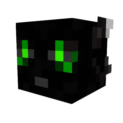 CryptidDawg Minecraft avatar head, 3D render