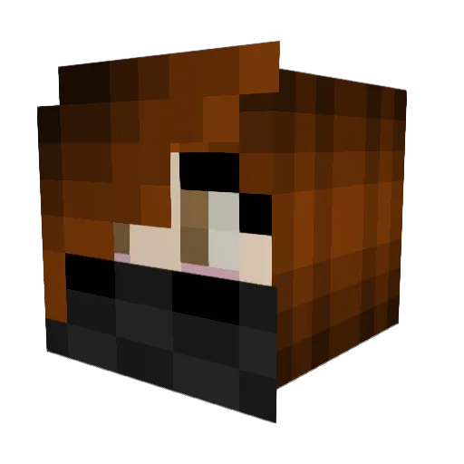 CryptidExists69 Minecraft avatar head, 3D render