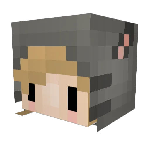 CryptidSquire Minecraft avatar head, 3D render