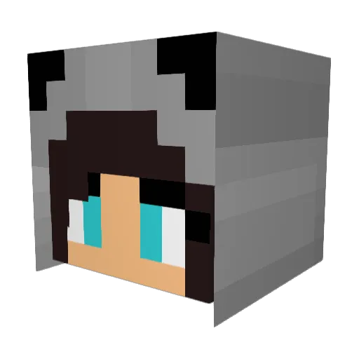 CryptoFenix Minecraft avatar head, 3D render