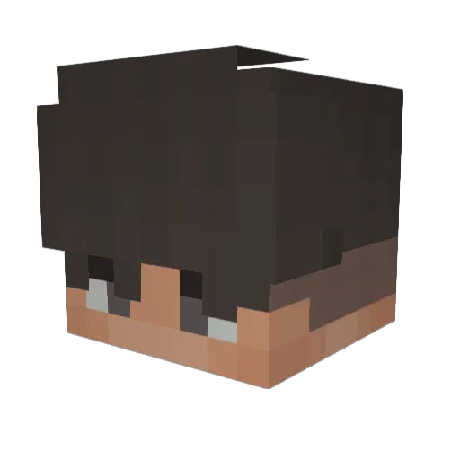 CryptoPayment Minecraft avatar head, 3D render