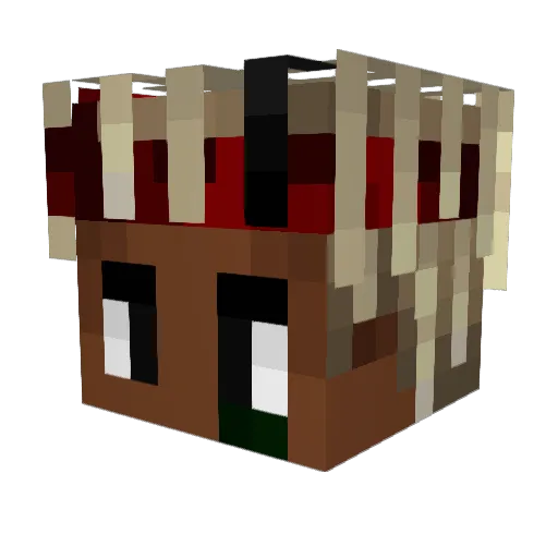 Crypto_Bog Minecraft avatar head, 3D render