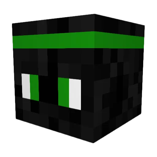 CryptonicKing Minecraft avatar head, 3D render