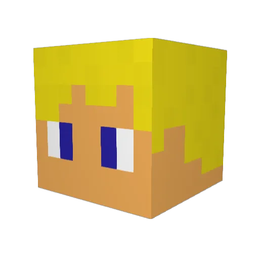 Cryptor14 Minecraft avatar head, 3D render
