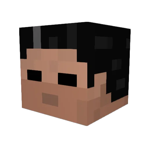 Cryptotarian Minecraft avatar head, 3D render