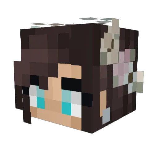 Cryptr Minecraft avatar head, 3D render