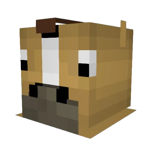 Cryser1 Minecraft avatar head, 3D render