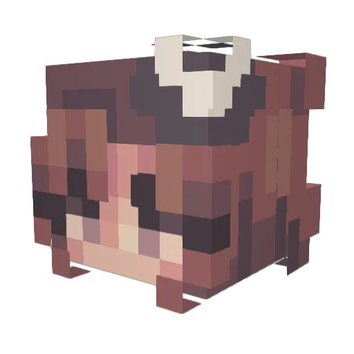 CryssyJ Minecraft avatar head, 3D render