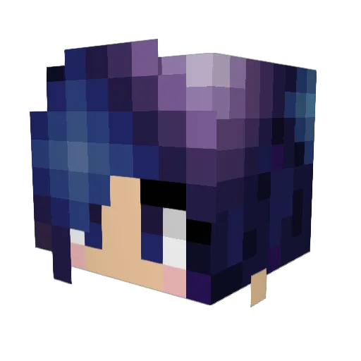 Crysta_Barndt5 Minecraft avatar head, 3D render