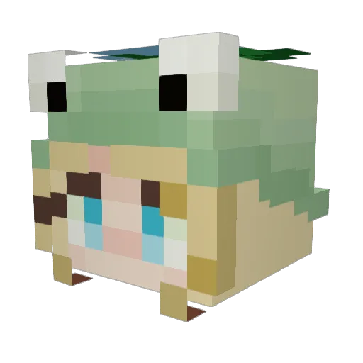 Crystacas Minecraft avatar head, 3D render