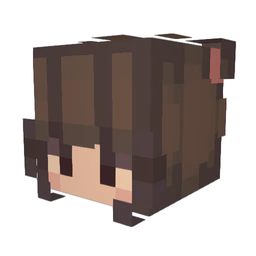 CrystalCraftN Minecraft avatar head, 3D render