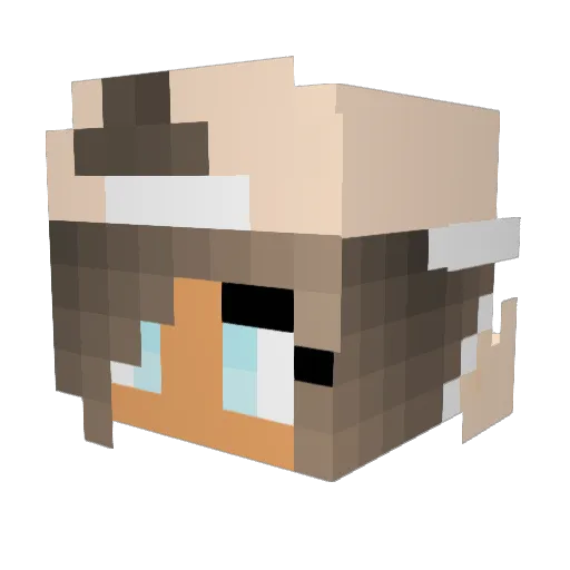 CrystalDolphin12 Minecraft avatar head, 3D render