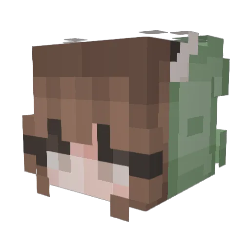 CrystalGirl349 Minecraft avatar head, 3D render