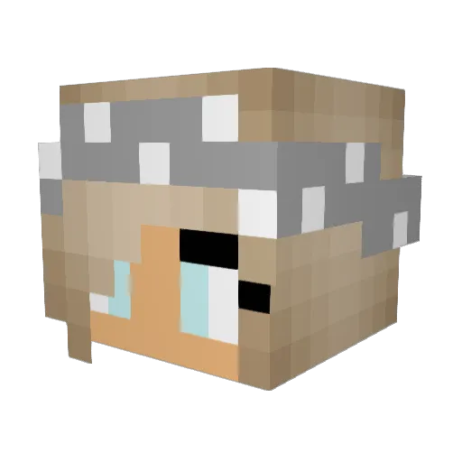 Crystal_Sunlight Minecraft avatar head, 3D render