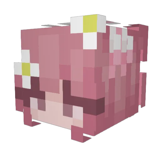 Crystal_moonuwu Minecraft avatar head, 3D render