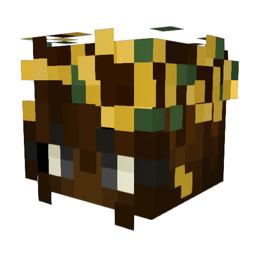 CrystalzVaeh05 Minecraft avatar head, 3D render