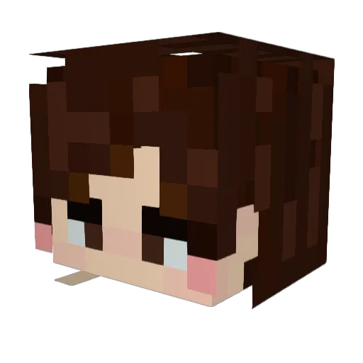 CryticalHitTTV Minecraft avatar head, 3D render