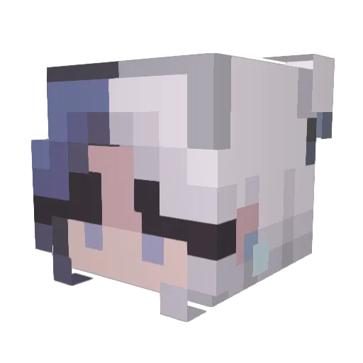 Crywolf473 Minecraft avatar head, 3D render