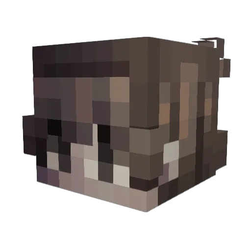 Cryyke Minecraft avatar head, 3D render