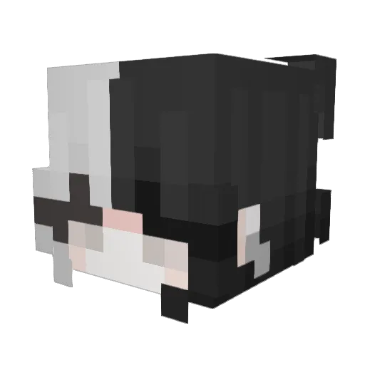 CryzenF0X Minecraft avatar head, 3D render