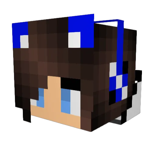 Cryzhdlp Minecraft avatar head, 3D render