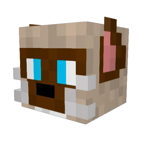CsAdT Minecraft avatar head, 3D render