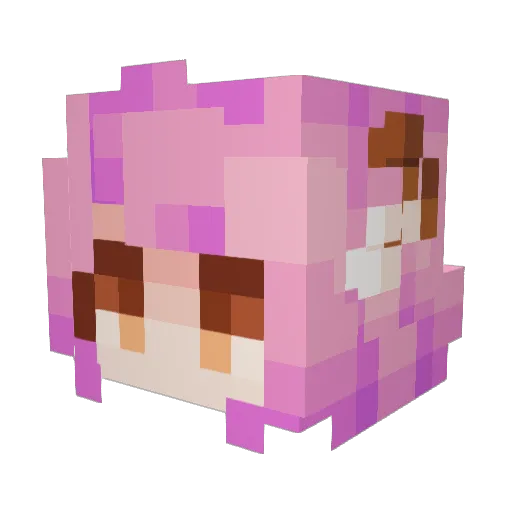 Csanoob Minecraft avatar head, 3D render