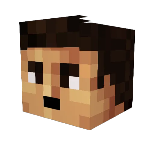 Cshadow123 Minecraft avatar head, 3D render